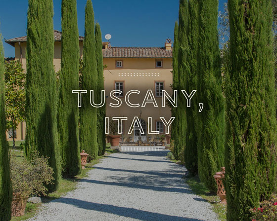 center shot of tall shrubs leading to a door