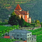 Join me for a Culinary Tour